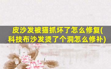 皮沙发被猫抓坏了怎么修复(科技布沙发烫了个洞怎么修补)