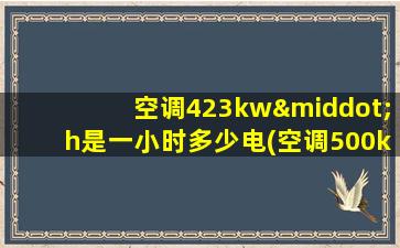 空调423kw·h是一小时多少电(空调500kw·h什么意思)
