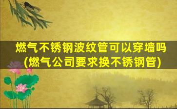燃气不锈钢波纹管可以穿墙吗(燃气公司要求换不锈钢管)