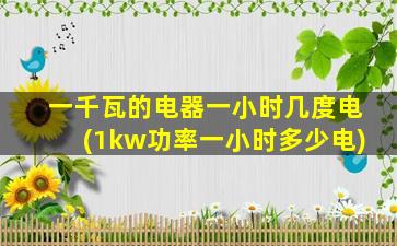 一千瓦的电器一小时几度电(1kw功率一小时多少电)
