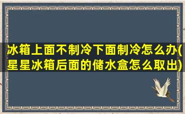 冰箱上面不制冷下面制冷怎么办(星星冰箱后面的储水盒怎么取出)