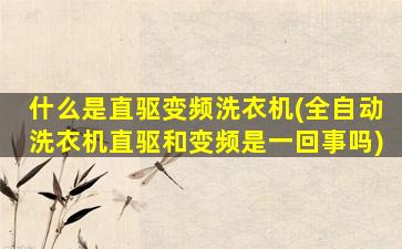 什么是直驱变频洗衣机(全自动洗衣机直驱和变频是一回事吗)