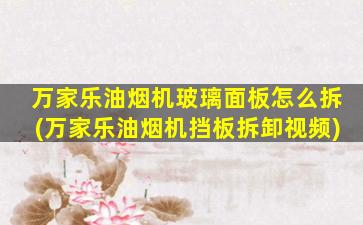 万家乐油烟机玻璃面板怎么拆(万家乐油烟机挡板拆卸视频)