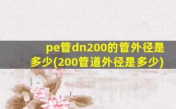 pe管dn200的管外径是多少(200管道外径是多少)