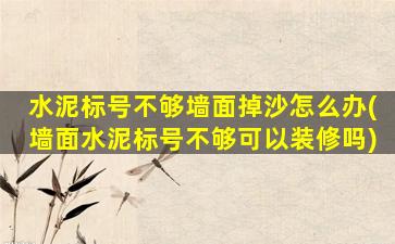 水泥标号不够墙面掉沙怎么办(墙面水泥标号不够可以装修吗)