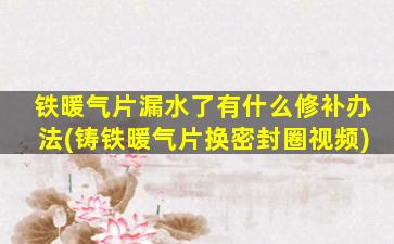 铁暖气片漏水了有什么修补办法(铸铁暖气片换密封圈视频)