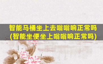智能马桶坐上去嗡嗡响正常吗(智能坐便坐上嗡嗡响正常吗)