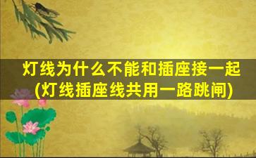 灯线为什么不能和插座接一起(灯线插座线共用一路跳闸)