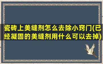 瓷砖上美缝剂怎么去除小窍门(已经凝固的美缝剂用什么可以去掉)