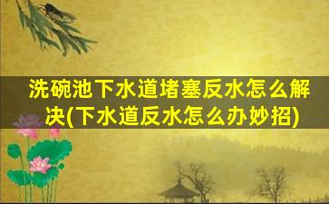 洗碗池下水道堵塞反水怎么解决(下水道反水怎么办妙招)