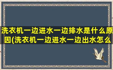 洗衣机一边进水一边排水是什么原因(洗衣机一边进水一边出水怎么修理)