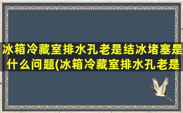 冰箱冷藏室排水孔老是结冰堵塞是什么问题(冰箱冷藏室排水孔老是结冰)