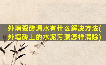 外墙瓷砖漏水有什么解决方法(外墙砖上的水泥污渍怎样清除)