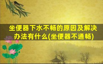 坐便器下水不畅的原因及解决办法有什么(坐便器不通畅)