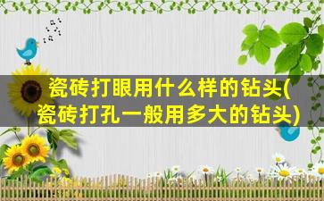 瓷砖打眼用什么样的钻头(瓷砖打孔一般用多大的钻头)