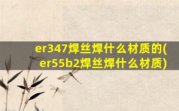 er347焊丝焊什么材质的(er55b2焊丝焊什么材质)