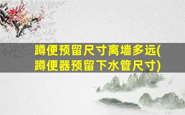 蹲便预留尺寸离墙多远(蹲便器预留下水管尺寸)