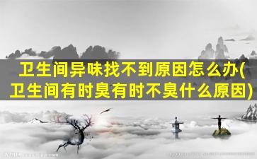 卫生间异味找不到原因怎么办(卫生间有时臭有时不臭什么原因)