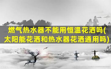 燃气热水器不能用恒温花洒吗(太阳能花洒和热水器花洒通用吗)