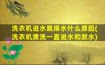 洗衣机进水就排水什么原因(洗衣机漂洗一直进水和放水)