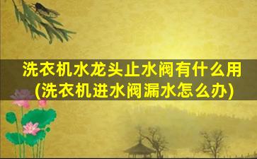 洗衣机水龙头止水阀有什么用(洗衣机进水阀漏水怎么办)