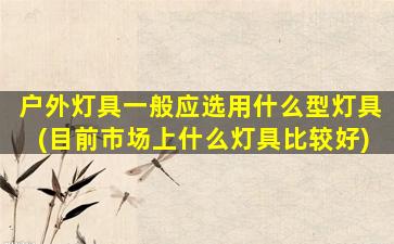 户外灯具一般应选用什么型灯具(目前市场上什么灯具比较好)
