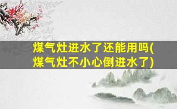 煤气灶进水了还能用吗(煤气灶不小心倒进水了)
