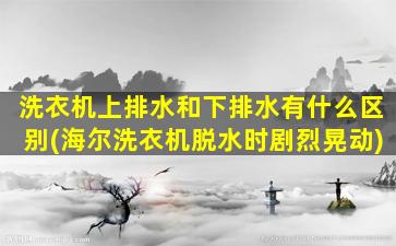 洗衣机上排水和下排水有什么区别(海尔洗衣机脱水时剧烈晃动)