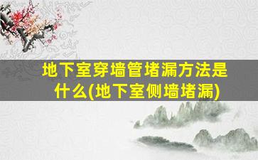 地下室穿墙管堵漏方法是什么(地下室侧墙堵漏)