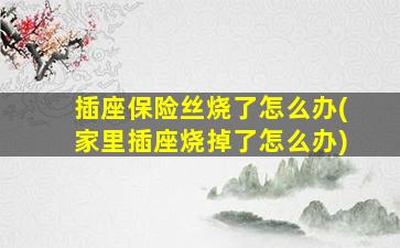 插座保险丝烧了怎么办(家里插座烧掉了怎么办)