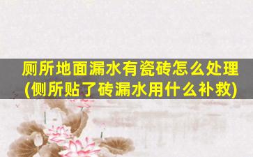 厕所地面漏水有瓷砖怎么处理(侧所贴了砖漏水用什么补救)