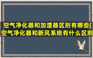 空气净化器和加湿器区别有哪些(空气净化器和新风系统有什么区别)