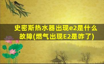 史密斯热水器出现e2是什么故障(燃气出现E2是咋了)