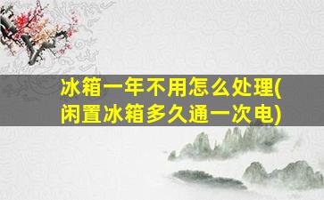冰箱一年不用怎么处理(闲置冰箱多久通一次电)