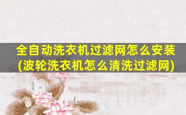 全自动洗衣机过滤网怎么安装(波轮洗衣机怎么清洗过滤网)