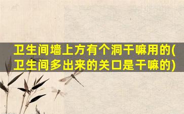 卫生间墙上方有个洞干嘛用的(卫生间多出来的关口是干嘛的)
