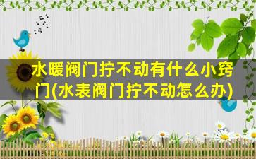 水暖阀门拧不动有什么小窍门(水表阀门拧不动怎么办)