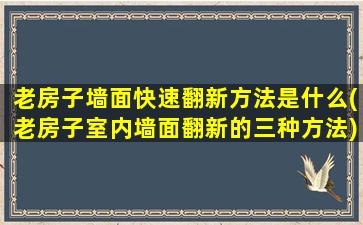 老房子墙面快速翻新方法是什么(老房子室内墙面翻新的三种方法)