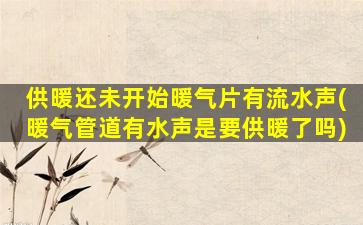供暖还未开始暖气片有流水声(暖气管道有水声是要供暖了吗)