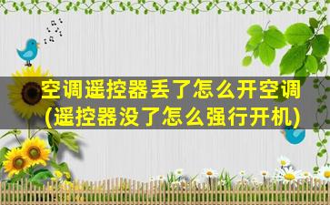 空调遥控器丢了怎么开空调(遥控器没了怎么强行开机)