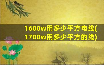 1600w用多少平方电线(1700w用多少平方的线)