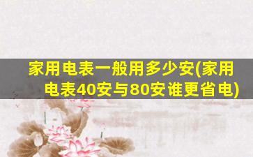 家用电表一般用多少安(家用电表40安与80安谁更省电)