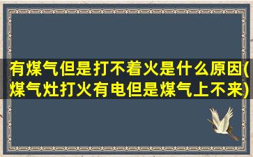 有煤气但是打不着火是什么原因(煤气灶打火有电但是煤气上不来)