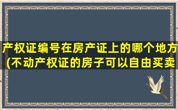 产权证编号在房产证上的哪个地方(不动产权证的房子可以自由买卖吗)
