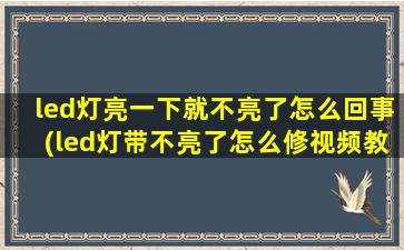 led灯亮一下就不亮了怎么回事(led灯带不亮了怎么修视频教程)