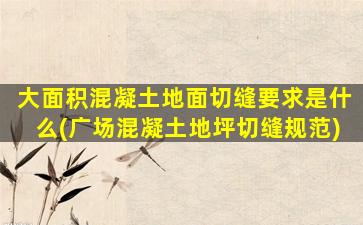 大面积混凝土地面切缝要求是什么(广场混凝土地坪切缝规范)