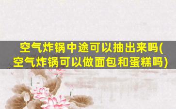 空气炸锅中途可以抽出来吗(空气炸锅可以做面包和蛋糕吗)