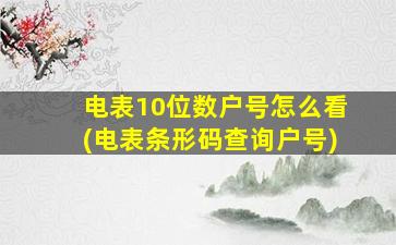 电表10位数户号怎么看(电表条形码查询户号)