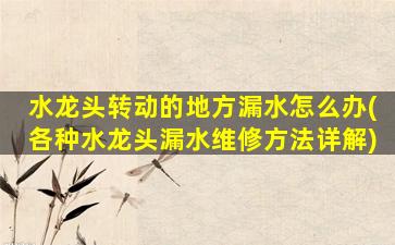 水龙头转动的地方漏水怎么办(各种水龙头漏水维修方法详解)