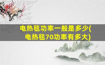 电热毯功率一般是多少(电热毯70功率有多大)